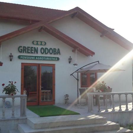 Pensiunea Agroturistica Green Odoba Sătuc Eksteriør bilde