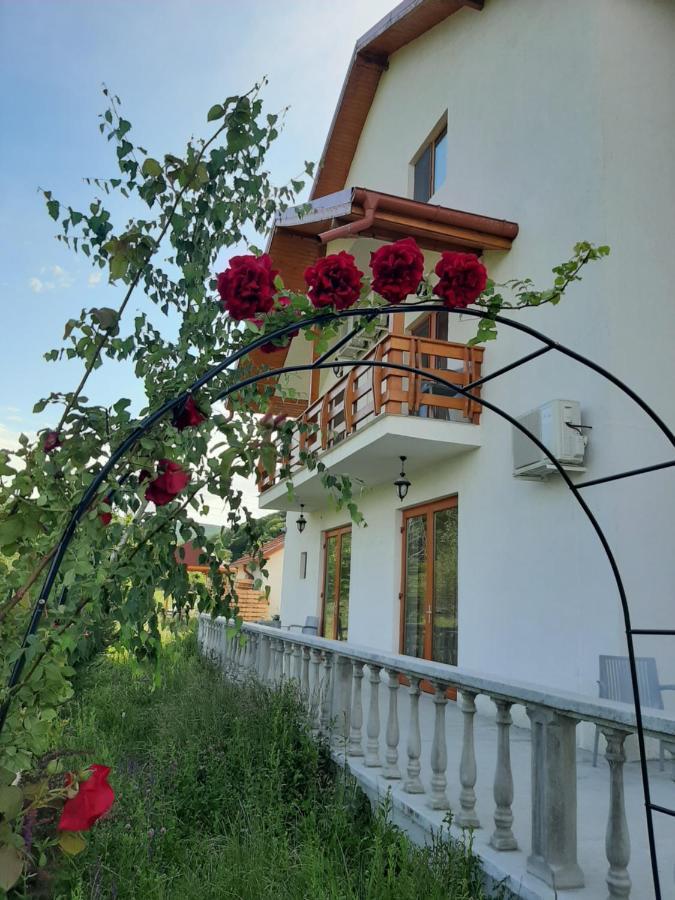 Pensiunea Agroturistica Green Odoba Sătuc Eksteriør bilde