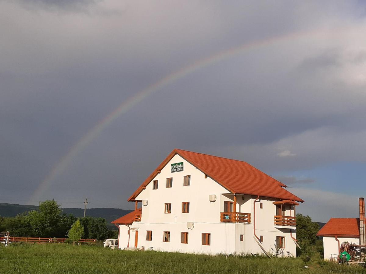 Pensiunea Agroturistica Green Odoba Sătuc Eksteriør bilde