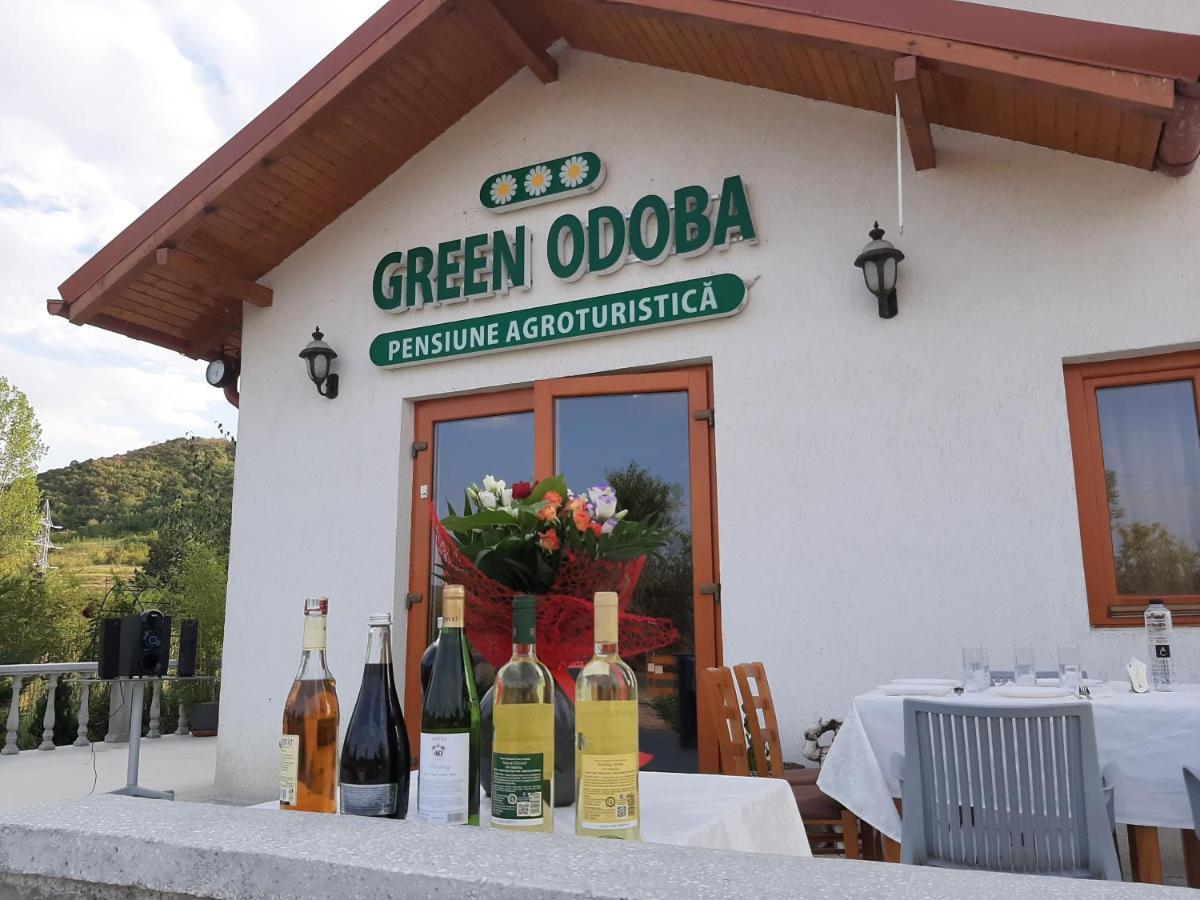Pensiunea Agroturistica Green Odoba Sătuc Eksteriør bilde