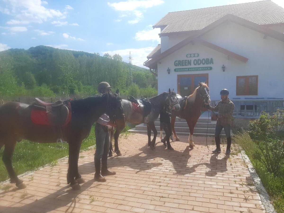Pensiunea Agroturistica Green Odoba Sătuc Eksteriør bilde