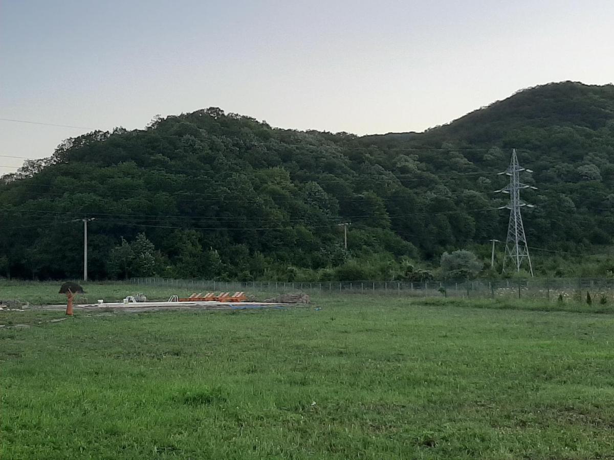Pensiunea Agroturistica Green Odoba Sătuc Eksteriør bilde