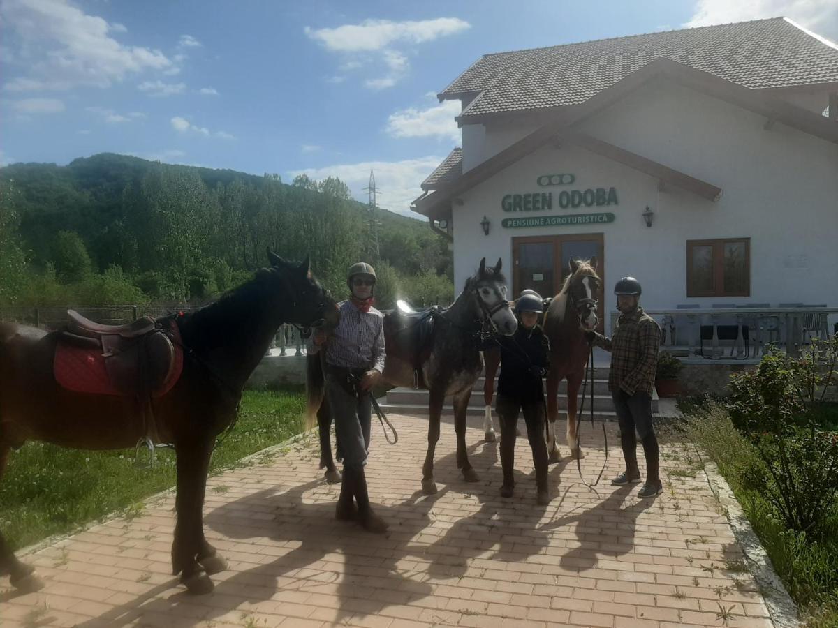 Pensiunea Agroturistica Green Odoba Sătuc Eksteriør bilde