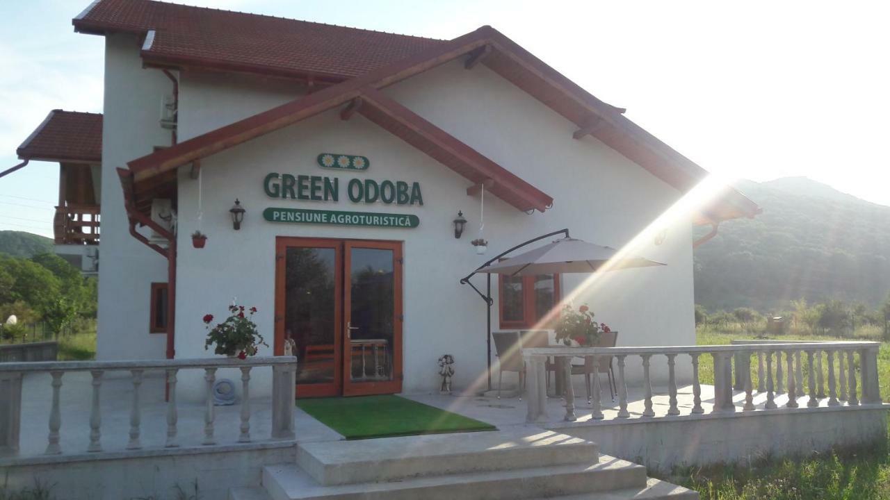 Pensiunea Agroturistica Green Odoba Sătuc Eksteriør bilde