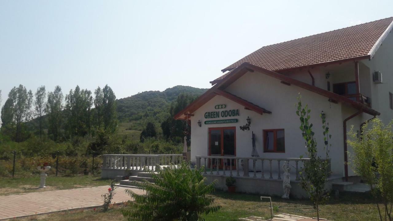 Pensiunea Agroturistica Green Odoba Sătuc Eksteriør bilde