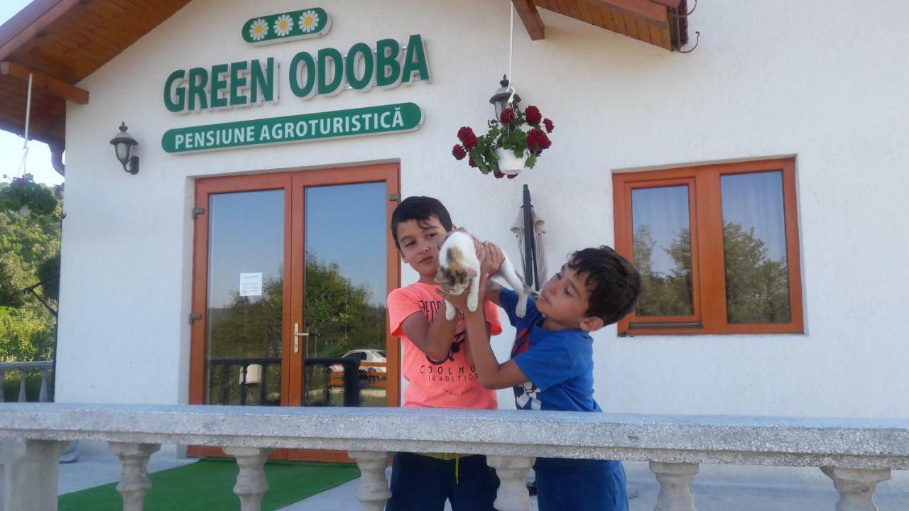 Pensiunea Agroturistica Green Odoba Sătuc Eksteriør bilde